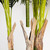 Large Stalk Areca Palm Artificial Tree - 9.5' - Green