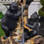 Cascading Bear Climbing Outdoor Garden Water Fountain - 29.5" - IMAGE 5