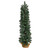 3' Pre-Lit Green Slim Pine Artificial Christmas Potted Tree, Warm White Lights - IMAGE 3