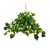 Pre-Lit Philodendron Artificial Plant - 24" - Warm White LED Lights - IMAGE 2