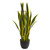2.25' Artificial Sansevieria Plant with Black Planter - IMAGE 1