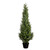Boxwood Topiary Artificial Potted Tree - 4' - IMAGE 2