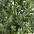 Boxwood Topiary Outdoor Artificial Potted Tree - 6' - IMAGE 4