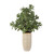Jade Crassula Artificial plant with Ceramic Pot - 23.5" - Green and Beige - IMAGE 4