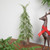 Iced Cedar Pine Artificial Mini Christmas Tree - 18" - Unlit - IMAGE 1