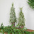 Iced Cedar Pine Artificial Mini Christmas Tree - 18" - Unlit - IMAGE 4