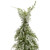 Iced Cedar Pine Artificial Mini Christmas Tree - 18" - Unlit - IMAGE 5