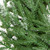 Frosted Norfolk Pine Artificial Christmas Wreath - 20" - Unlit - IMAGE 6
