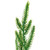 Norfolk Pine Artificial Christmas Garland - 5' - Unlit