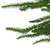 Norfolk Pine Artificial Christmas Teardrop Swag - 28"