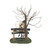 Department 56 Village Halloween Kiss of Death Accessory- 4047592 - IMAGE 3