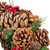 13" Frosted Pinecone and Red Berry Artificial Christmas Wreath - Unlit