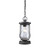 Curved Glass Hanging Pendant Ceiling Light Fixture - 14" - Matte Black - IMAGE 1
