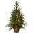 2.5' Pre-Lit Artificial Christmas Tree with Planter, Clear Incandescent Lights - IMAGE 1