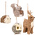 6" Woodland Critters Christmas Ornaments - Ivory and Brown - Set of 4