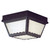 2-Light Outdoor Flush Mount Ceiling Light Fixture - 9.5" - Black - IMAGE 1
