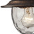 1-Light Victorian-Style Outdoor Wall Sconce - 13" - Regal Bronze - IMAGE 2