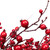 24" Red Berries and Mini Apples Christmas Wreath - Unlit