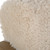 Sheepskin Accent Chair - 32" - Cream