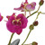 Fuchsia Orchid Artificial Floral Arrangements with Glass Container - 13" - Pink and Green - IMAGE 3