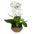 Orchid Floral Centerpiece - 18" - White and Antique Brass Finish - IMAGE 4