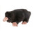 Set of 4 Black Handcrafted Plush Mole Stuffed Animals 9" - IMAGE 1