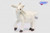 Set of 3 White Handcrafted Soft Plush Baby Goat Stuffed Animals 14.25" - IMAGE 1
