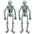 Jointed Skeletons Hanging Decoration Props - 22" - Black and White - Club Pack of 48