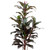 Potted Two-Toned Artificial Dracaena Plant - 60" - IMAGE 3