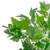 Northlight 19" Two-Tone Sweet Potato Artificial Spring Floral Bush - Green/White