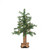 2' Pre-Lit Medium Woodland Alpine Artificial Christmas Tree - Clear Lights - IMAGE 1