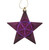12ct Purple Shatterproof 2-Finish Star Christmas Ornaments 5" - IMAGE 1