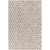 2' x 3' Gray and Beige Hand Crafted Rectangular Area Throw Rug - IMAGE 1