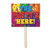 The Party's Here! Outdoor Yard Sign - 24" - Multicolor - Pack of 6 - IMAGE 1