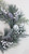 Frosted Mixed Pine and Pine Cone Artificial Christmas Wreath, 24-inch, Unlit - IMAGE 5
