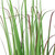 40" Potted Artificial Green Onion Grass Plant - IMAGE 3