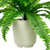 Boston Fern Artificial Potted Plant - 24" - IMAGE 4