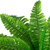 Boston Fern Artificial Potted Plant - 24" - IMAGE 6