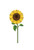 Pack of 12 Yellow and Brown Sunflower Cutouts 3' - IMAGE 1