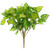 16" Green and Yellow Artificial Dieffenbachia Floral Bush - IMAGE 2