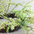 Berry Twig Artificial Wreath, Green and Brown 12-Inch - IMAGE 2