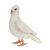 Handcrafted Dove Stuffed Animal - 7.75"- White - Set of 6 - IMAGE 1
