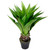 Real Touch™️ Green Artificial Agave Succulent Plant In a Black Pot - 30.5" - IMAGE 5