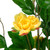 Artificial Peony Flower Potted Tree - 63" - Yellow - IMAGE 6