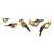 5ct Black and Gold Shatterproof Gilded Bird Christmas Ornaments 8.5" - IMAGE 2