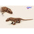 Set of 3 Brown and White Handcrafted Soft Plush Komodo Dragon Stuffed Animals 27.25" - IMAGE 1