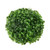 7.75" Green Two Tone Artificial Boxwood Topiary Garden Ball - IMAGE 1