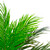 47" Potted Green and Brown Phoenix Palm Artificial Tree - IMAGE 3