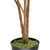 Northlight 3.8' Unlit Green and Black Potted Artificial Croton Tree