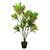 45.75" Green and Black Artificial Croton Tree with Variegated Leaves - IMAGE 1